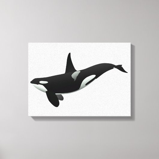 Orca walale illustratie - Kies achtergrondkleur Canvas Afdruk (Voorkant)
