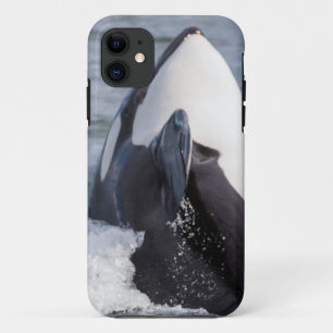 Orca walvis doorbreekt het wateroppervlak Case-Mate iPhone case