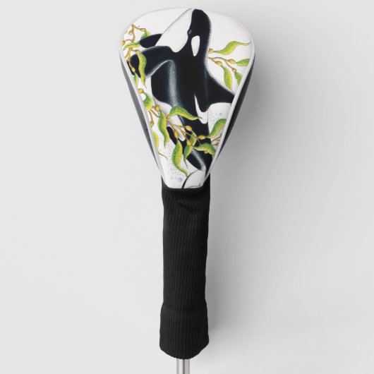 Orca walvis in Kelp Forest inkt art Golfheadcover (Voorkant)