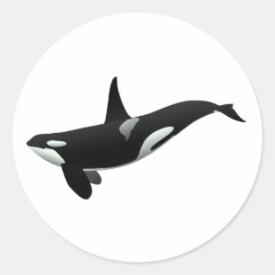 Orca-walvisafbeelding - Kies achtergrondkleur Ronde Sticker