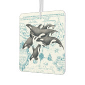 Orca walvissen: oud blauw luchtverfrisser (Links)