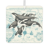 Orca walvissen: oud blauw luchtverfrisser (Achterkant)