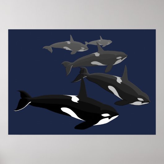Orca Whale Art Poster Killer Whale Art Prints Gift (Voorkant)