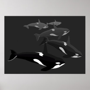 Orca Whale Art Poster Killer Whale Gedrukt Canvas