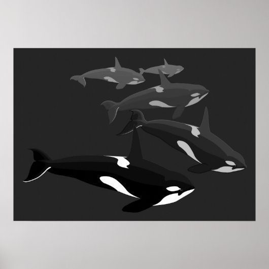 Orca Whale Art Poster Killer Whale Gedrukt Canvas (Voorkant)