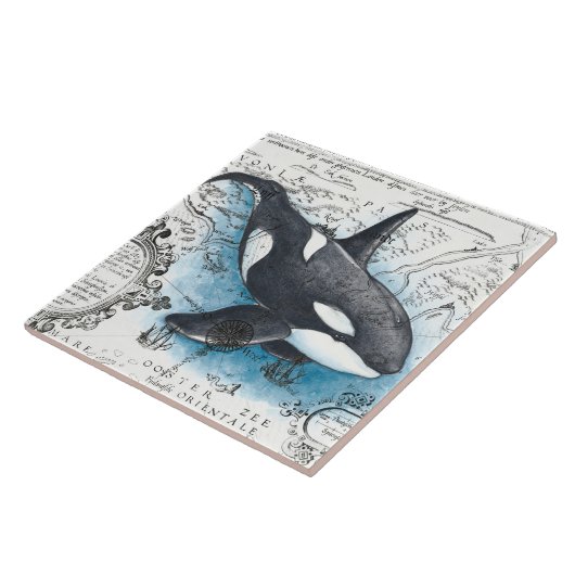 Orca Whale Blue Waterverf Nautical Map Tegeltje (Zijkant)