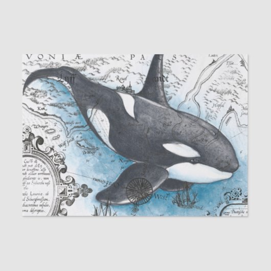Orca Whale Blue Waterverf Nautical Map Tissuepapier (Voorkant)
