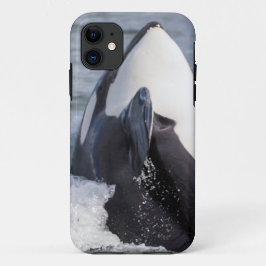 Orca whale breaching Case-Mate iPhone case (Achterkant)