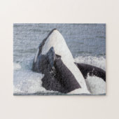 Orca whale breaching legpuzzel (Horizontaal)