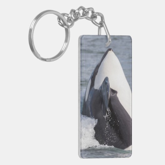 Orca whale breaching sleutelhanger (Voorkant Links)