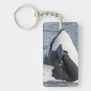Orca whale breaching sleutelhanger