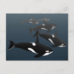 Orca Whale Briefkaarten Aangepaste Killer Whale Ar