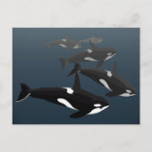 Orca Whale Briefkaarten Aangepaste Killer Whale Ar (Voorkant)