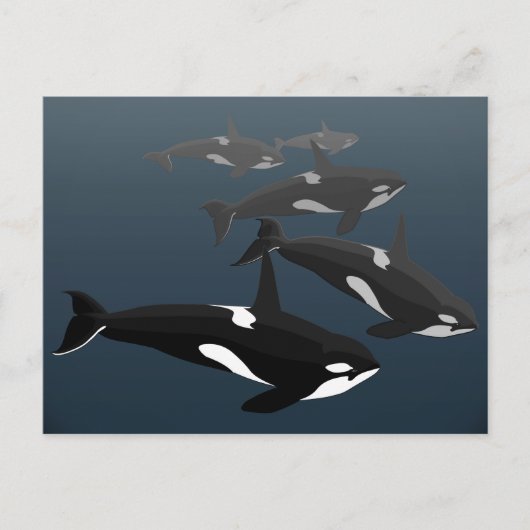 Orca Whale Briefkaarten Aangepaste Killer Whale Ar (Voorkant)