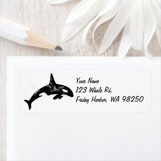 Orca Whale Etiket (Insitu)