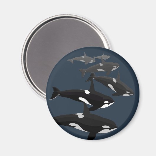 Orca Whale Fridge Magnet Killer Whale Kunstnetten (Voorkant / Achterkant)