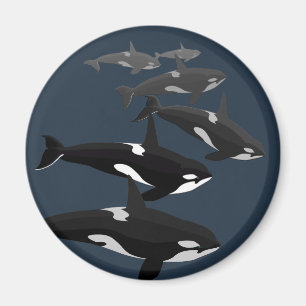 Orca Whale Fridge Magnet Killer Whale Kunstnetten