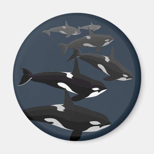 Orca Whale Fridge Magnet Killer Whale Kunstnetten (Voorkant)