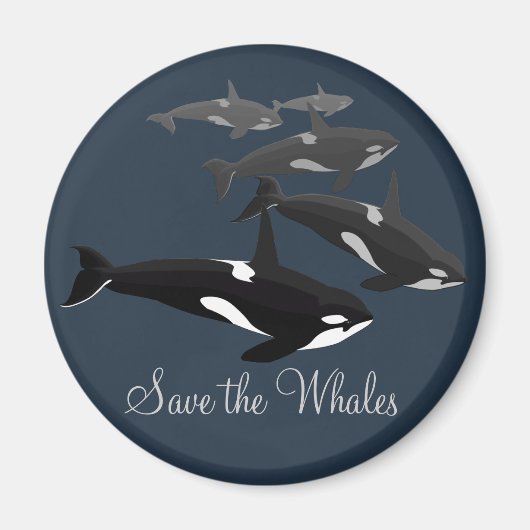 Orca Whale Fridge Magnet Killer Whale Kunstnetten (Voorkant)