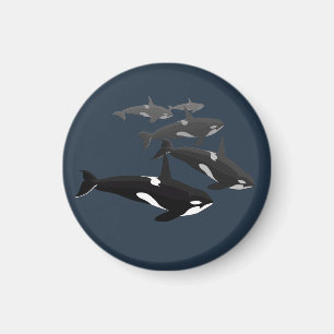 Orca Whale Fridge Magnet Killer Whale Kunstnetten