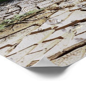 Orca Whale in een Natuur-Poster voor flesjes Poster (Hoek)