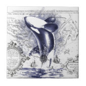 Orca Whale  Map Blue Tegeltje (Voorkant)