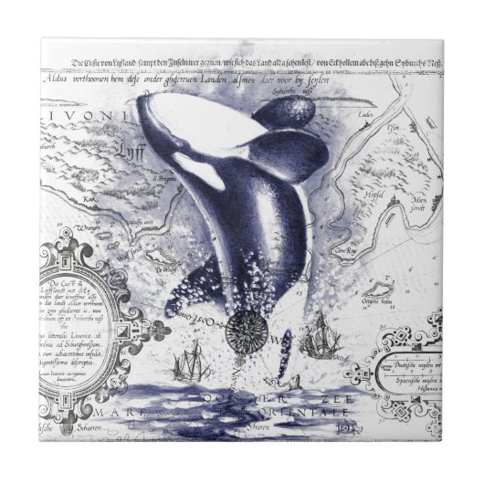 Orca Whale  Map Blue Tegeltje (Voorkant)