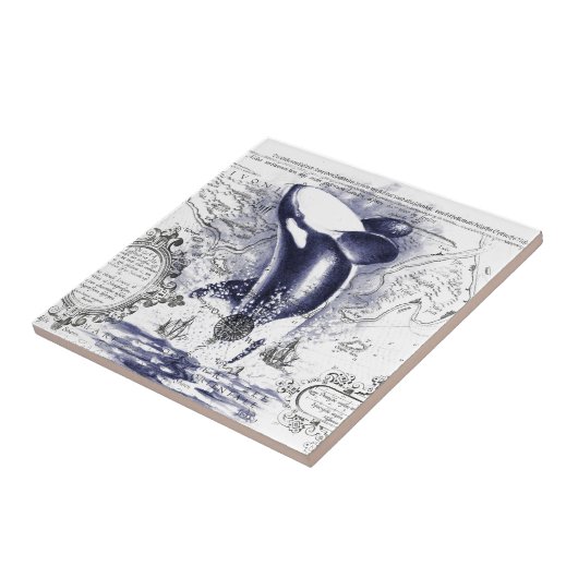 Orca Whale  Map Blue Tegeltje (Zijkant)