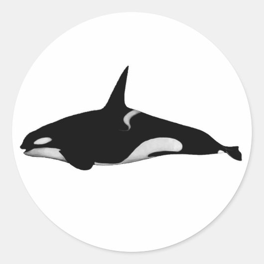 ORCA WHALE RONDE STICKER (Voorkant)