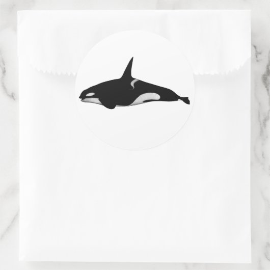 ORCA WHALE RONDE STICKER (Tas)