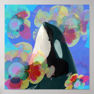 Orca Whale Spy Hop Multicolor Graphic-I SEE You Poster