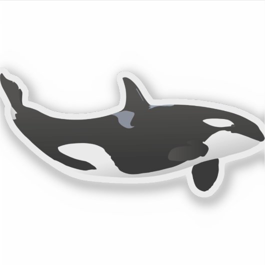 Orca Whale Sticker (Voorkant)