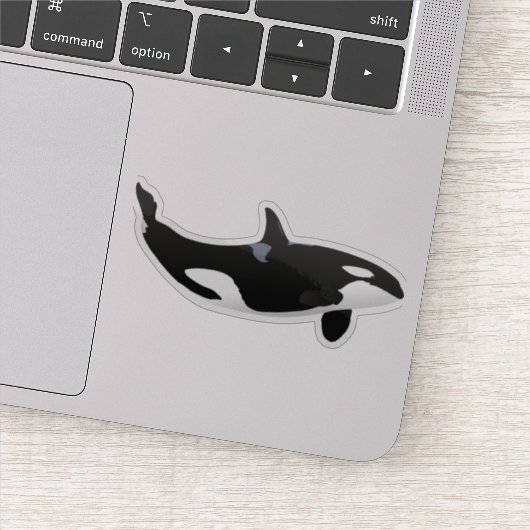 Orca Whale Sticker (Detail)