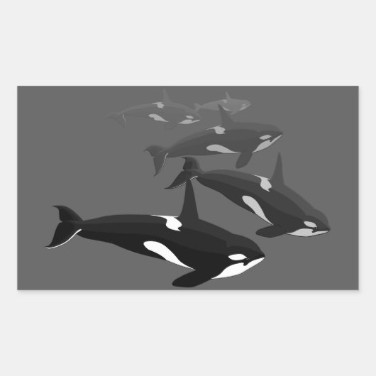 Orca Whale Stickers Killer Whale Art Stickers (Voorkant)