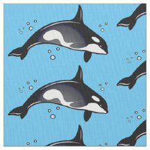 Orca Whale