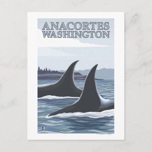 Orca Whales #1 - Anacortes, Washington Briefkaart (Voorkant)