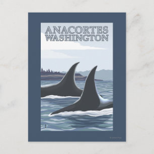 Orca Whales #1 - Anacortes, Washington Briefkaart