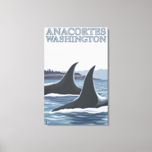 Orca Whales #1 - Anacortes, Washington Canvas Afdruk