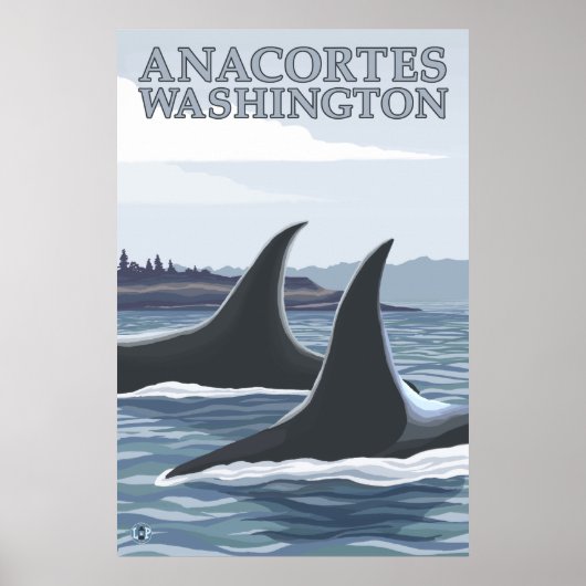 Orca Whales #1 - Anacortes, Washington Poster (Voorkant)