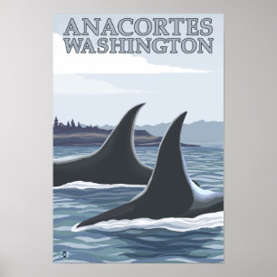 Orca Whales #1 - Anacortes, Washington Poster