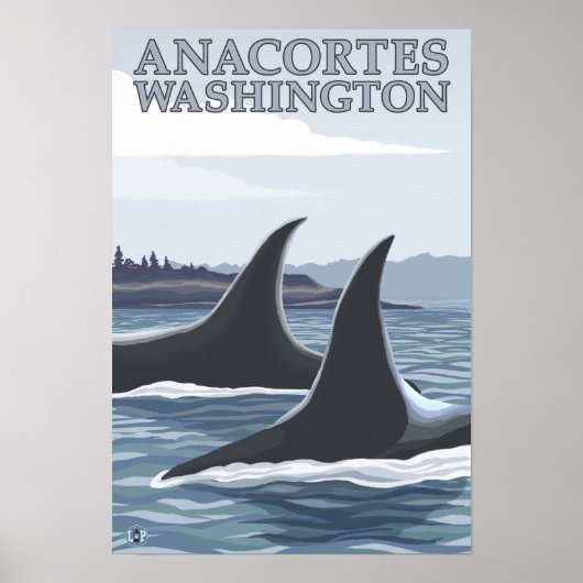 Orca Whales #1 - Anacortes, Washington Poster (Voorkant)