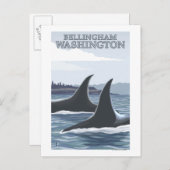 Orca Whales #1 - Bellingham, Washington Briefkaart (Voorkant / Achterkant)
