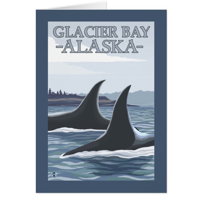 Orca Whales #1 - Glacier Bay, Alaska (Voorkant)
