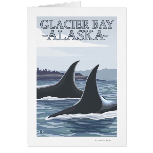 Orca Whales #1 - Glacier Bay, Alaska (Voorkant)