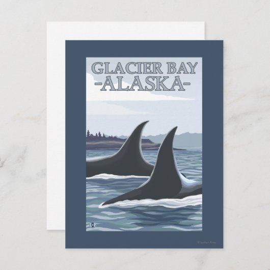 Orca Whales #1 - Glacier Bay, Alaska Briefkaart (Voorkant / Achterkant)