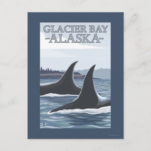 Orca Whales #1 - Glacier Bay, Alaska Briefkaart (Voorkant)