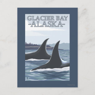 Orca Whales #1 - Glacier Bay, Alaska Briefkaart