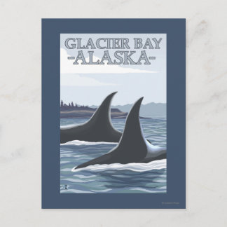 Orca Whales #1 - Glacier Bay, Alaska Briefkaart