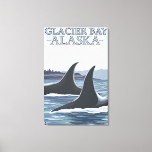 Orca Whales #1 - Glacier Bay, Alaska Canvas Afdruk