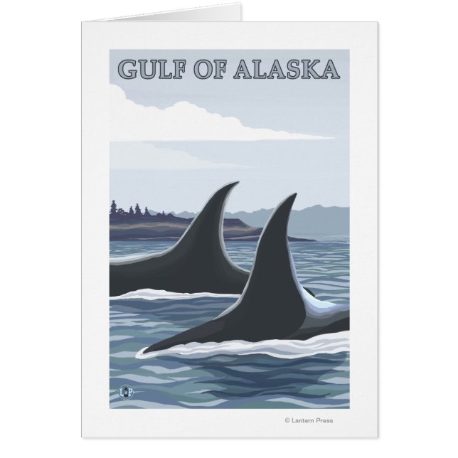 Orca Whales #1 - Gulf of Alaska (Voorkant)